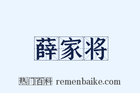 薛家将是什么意思的图片